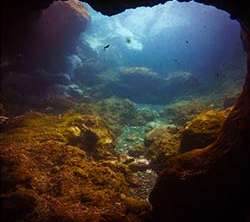 El Balito – Marazul