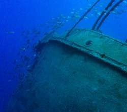 Tabaiba – El Pejin